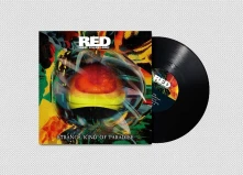 Vinyl STRANGE KIND OF PARADISE