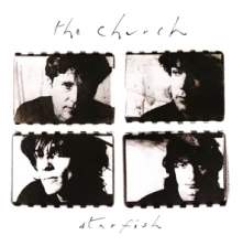 CD STARFISH