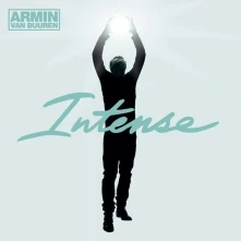 Vinyl Intense