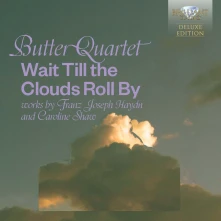 CD WAIT TILL THE CLOUDS R...