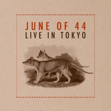 Vinyl LIVE IN TOKYO