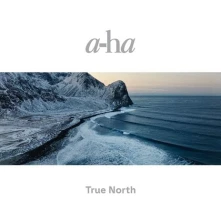 CD True North