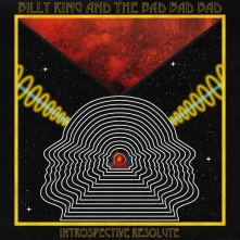 Vinyl INTROSPECTIVE RESOLUTE