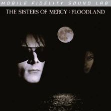 Vinyl FLOODLAND