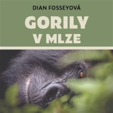 CD Gorily v mlze