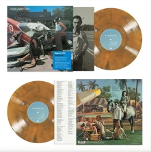 Vinyl INDISCREET