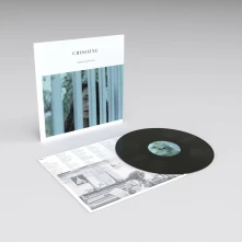 Vinyl CHOOSING