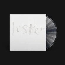 Maria Somerville, Vinyl LUSTER