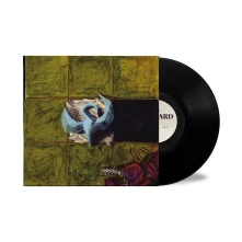 Vinyl BLIZZARD
