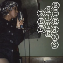 Vinyl BEEHIVE BREAKS
