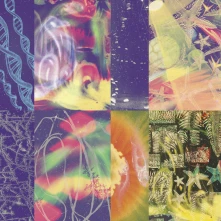 Vinyl NEON GATE