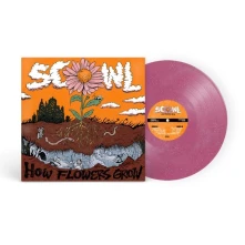 Vinyl HOW FLOWERS GROW