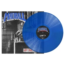 Vinyl NOT YOUR KINGDOM