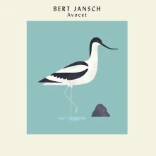 Vinyl AVOCET (ART PRINT EDIT...