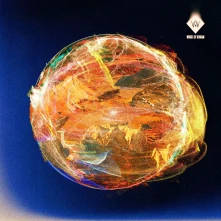 Woods of Birnam, Vinyl SOLARIS