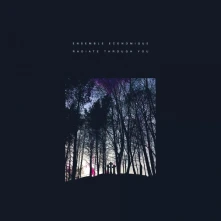 Ensemble Economique, Vinyl RADIATE THROUGH YOU