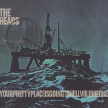Vinyl YOURPRETTYPLACEISGOINGTOHELL