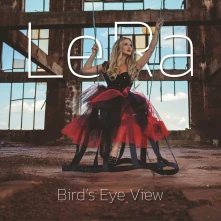 CD Bird's Eye View