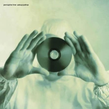 CD STUPID DREAM