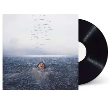 Shawn Mendes, Vinyl Wonder