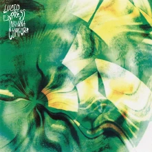 Lucid Express, Vinyl INSTANT COMFORT