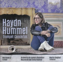 CD HAYDN & HUMMEL TRU...