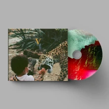 CD V