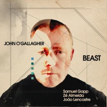 Vinyl BEAST