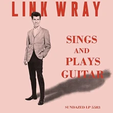 Vinyl SINGS AND PLAYS GUITAR