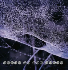 CD SPEED OF THE STARS