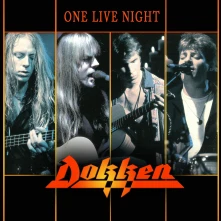 Vinyl ONE LIVE NIGHT