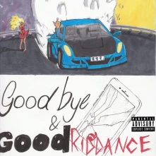 Vinyl Goodbye & Good Riddance
