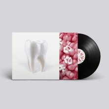 Vinyl Porij - Teething
