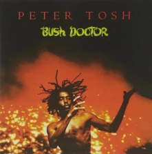 Vinyl BUSH DOCTOR