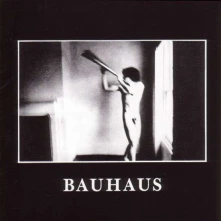 Bauhaus, Vinyl IN THE FLAT FIELD