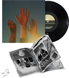 Vinyl the record