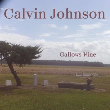 Vinyl GALLOWS WINE