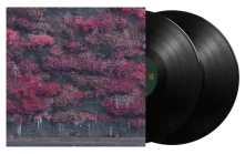 Vinyl Even In Arcadia