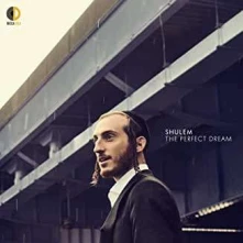 CD SHULEM - THE PERFECT DREAM