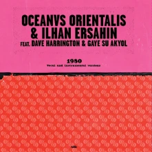 İlhan Erşahin, Vinyl 1980