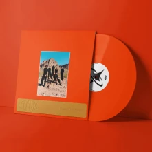 Vinyl WELCOME TO THE MOOD