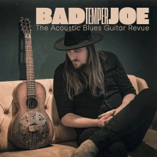 Vinyl ACOUSTIC BLUES GUITAR ...