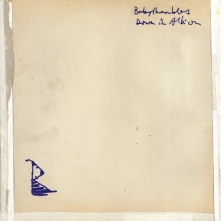Babyshambles, CD BABYSHAMBLES - DOWN IN ALBION