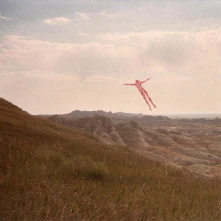 Vinyl SKINLESS TAKES A FLIGHT