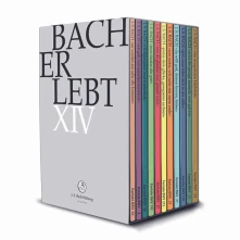 DVD BACH ERLEBT XIII