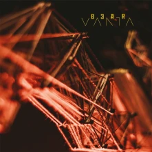 Vinyl VANTA