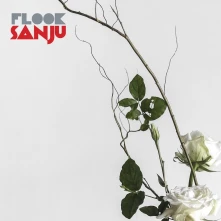 CD SANJU