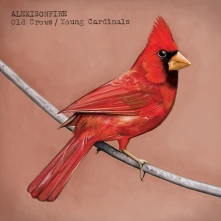 Vinyl OLD CROWS/YOUNG CARDINALS