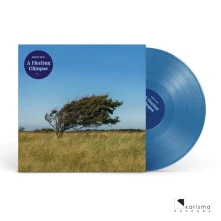 Vinyl A FLEETING GLIMPSE