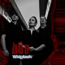 Vinyl WHIPLASH